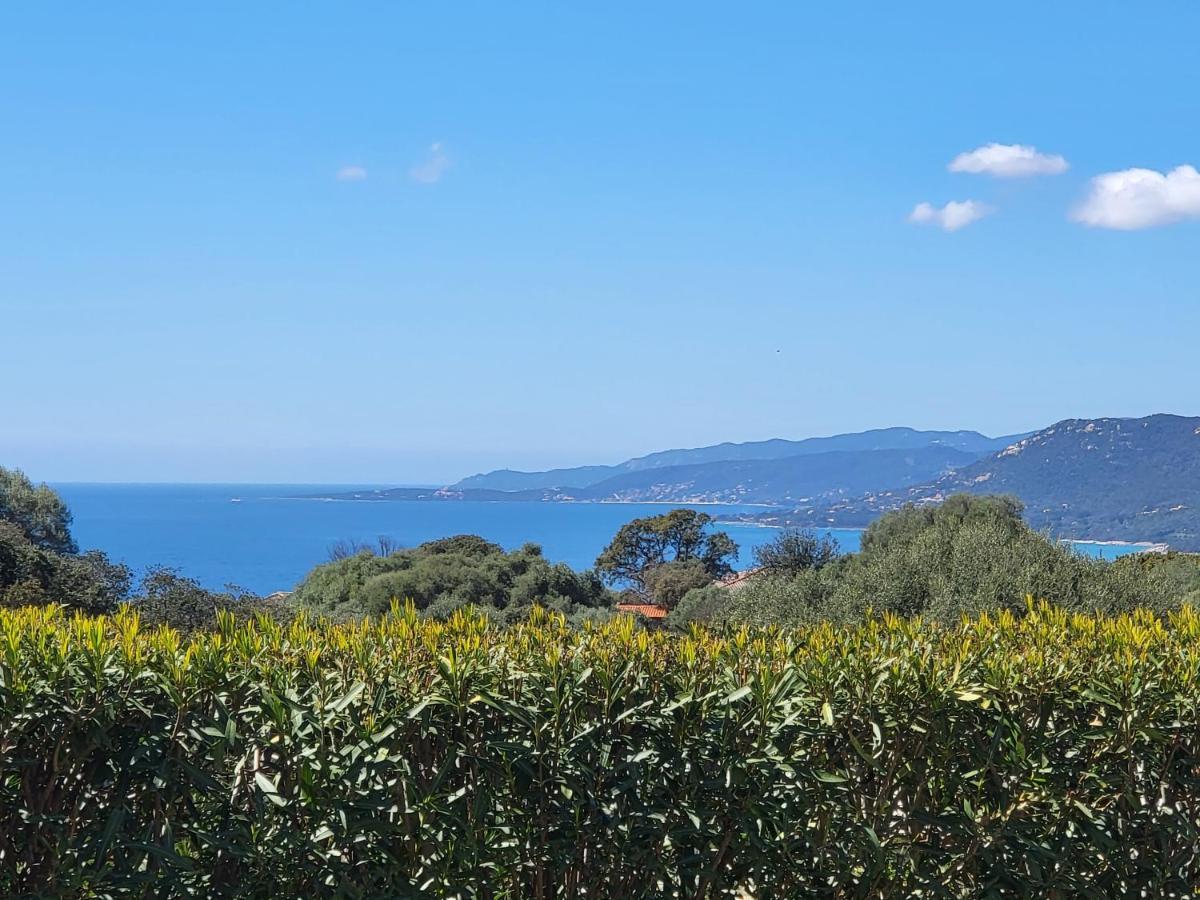 T3 Propriano Vue Mer, Neuf, Climatise Et Classe 4 Etoiles Viggianello エクステリア 写真