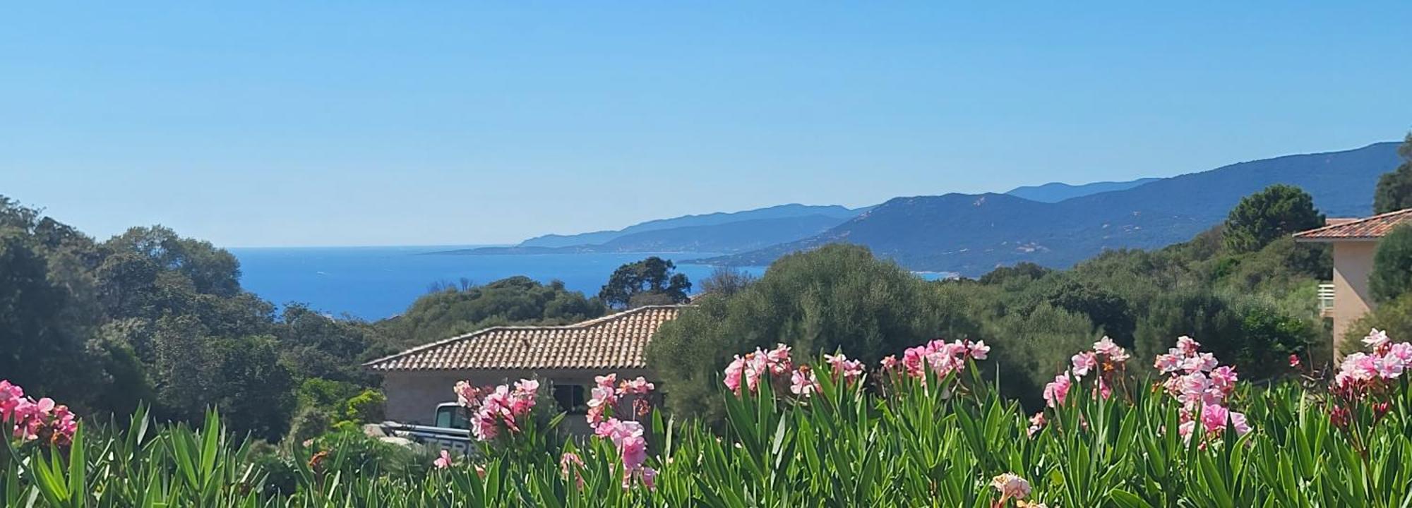 T3 Propriano Vue Mer, Neuf, Climatise Et Classe 4 Etoiles Viggianello エクステリア 写真